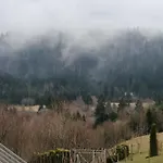 Ris Gorski Kotar Crni Lug * Delnice