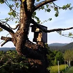 Apartamento Ris Gorski Kotar Crni Lug