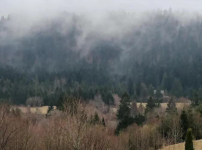 Ris Gorski Kotar Crni Lug * Delnice