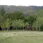 Ris Gorski Kotar Crni Lug Delnice