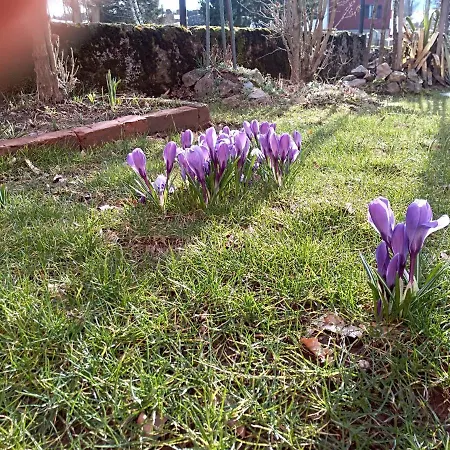 Ris Gorski Kotar Crni Lug * Delnice