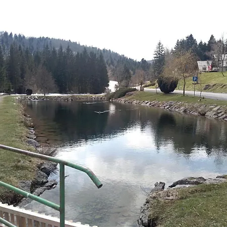 דירה Ris Gorski Kotar Crni Lug *