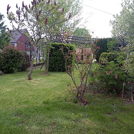 Ris Gorski Kotar Crni Lug Apartment Delnice