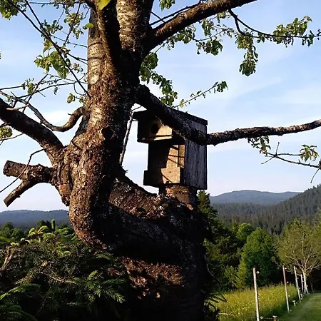Apartament Ris Gorski Kotar Crni Lug