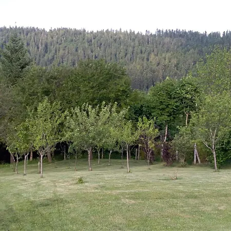 Ris Gorski Kotar Crni Lug דלניצה