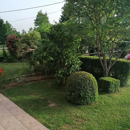 Ris Gorski Kotar Crni Lug Delnice