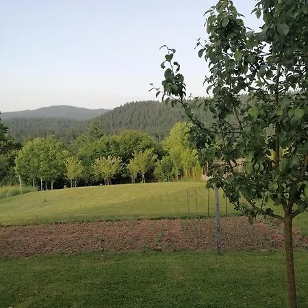 Ris Gorski Kotar Crni Lug Delnice