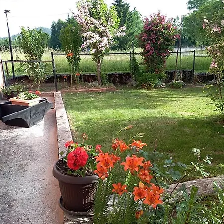 Ris Gorski Kotar Crni Lug *