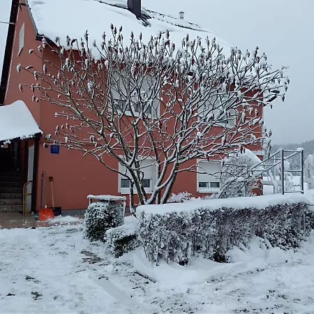 Ris Gorski Kotar Crni Lug * Делнице