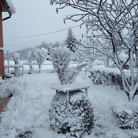 Ris Gorski Kotar Crni Lug *