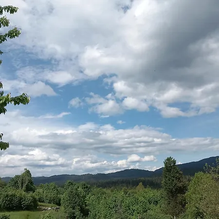 Ris Gorski Kotar Crni Lug Delnice