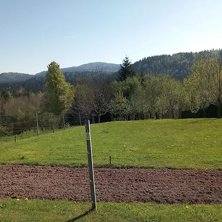 Ris Gorski Kotar Crni Lug *