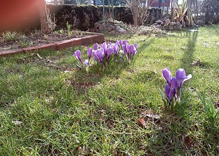 Ris Gorski Kotar Crni Lug * Delnice