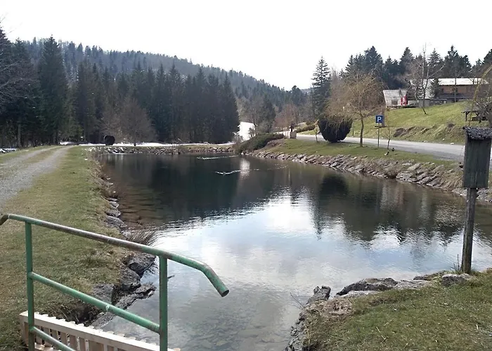 Apartmán Ris Gorski Kotar Crni Lug *