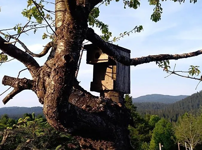 Apartmán Ris Gorski Kotar Crni Lug