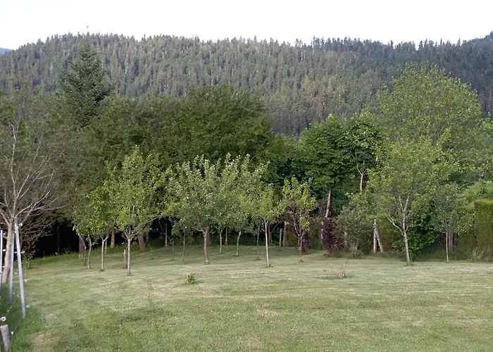 Ris Gorski Kotar Crni Lug Delnice