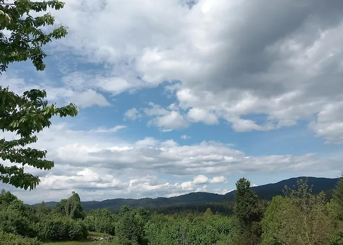 Ris Gorski Kotar Crni Lug Delnice