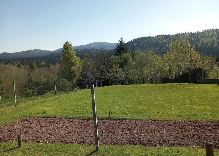 Ris Gorski Kotar Crni Lug *